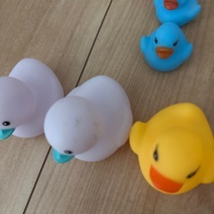 あひるの画像
