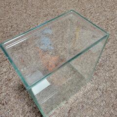 水作 ショーベタ コレクションケース M

フタ付きの画像