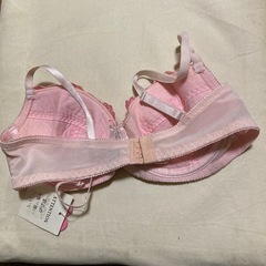 ブラジャーの画像