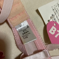 ブラジャーの画像