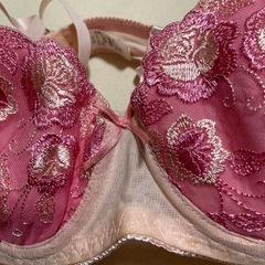 ブラジャーの画像