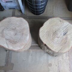 ■(完売) :丸太・樫( カシ ) の広葉樹-4・・圧巻の貫禄と重厚感　希少サイズの画像