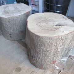 ■(完売) :丸太・樫( カシ ) の広葉樹-4・・圧巻の貫禄と重厚感　希少サイズの画像