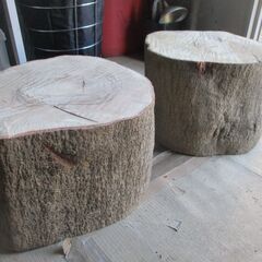 ■(完売) :丸太・樫( カシ ) の広葉樹-4・・圧巻の貫禄と重厚感　希少サイズの画像