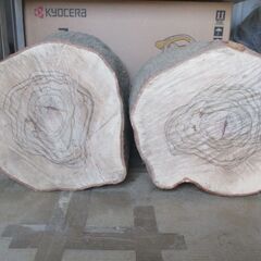 ■(完売) :丸太・樫( カシ ) の広葉樹-4・・圧巻の貫禄と重厚感　希少サイズの画像