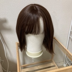 リネアストリア　天使のルシアミディウィッグの画像