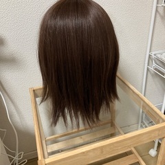 リネアストリア　天使のルシアミディウィッグの画像