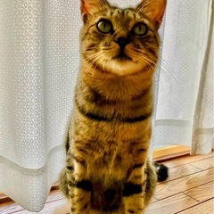 少し臆病ですがすぐ慣れます