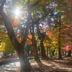 【女性限定】読書紹介会　①1/19 14:30-16:00 ②1...