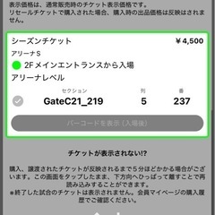 琉球ゴールデンキングス　チケット　渋谷戦