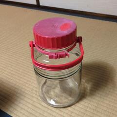 洗浄済！梅・果実酒用(持ちて付き)