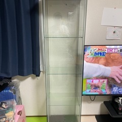 【取引中】コレクションケースの画像
