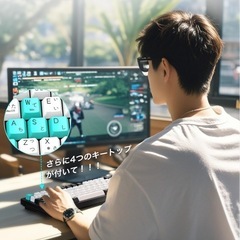 新品　メカニカルキーボード　ガスケットゲーミングキーボード 有線 着脱式 カスタマイズキーボード USB C/A両用 82キー PBTキーキャップ 押下圧 40G ノブ付き LEDバックライトMac/Windows対応 サテライト軸の画像