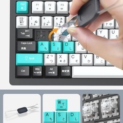 新品　メカニカルキーボード　ガスケットゲーミングキーボード 有線 着脱式 カスタマイズキーボード USB C/A両用 82キー PBTキーキャップ 押下圧 40G ノブ付き LEDバックライトMac/Windows対応 サテライト軸の画像