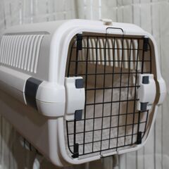 Richell ペット キャンピングキャリー