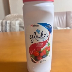 グレード　カーペット&ルームイルミネーター