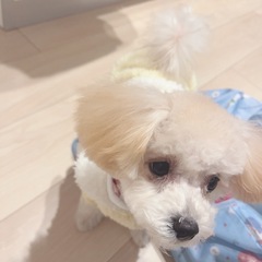 お友達募集です🐶🍻！