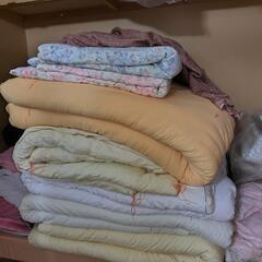 【予定者有り】無料 0円 寝具 掛け布団 多め part④ 早い...