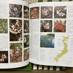講談社　園芸大百科事典 fleur全巻12冊　園芸　花　図鑑の画像