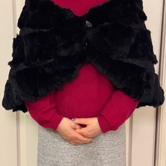 レッキスファーショール