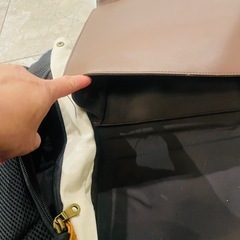 おまけ付　鞄リュックセット　animo & olive des olive リュック, LeSportsacバッグの画像