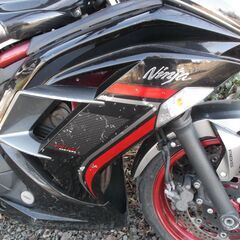 KAWASAKIニンジャ４００EX スペシャルエディション　車検永～い WR'Sマフラー付[商談中]]の画像
