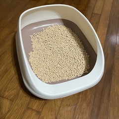 猫　デオトイレの画像