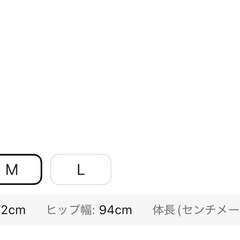 レディースプリントメッシュスカート　Mサイズの画像