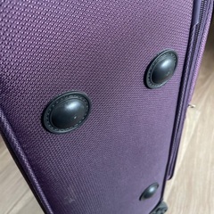 グリフィンランド　キャリーバック AIR6327の画像