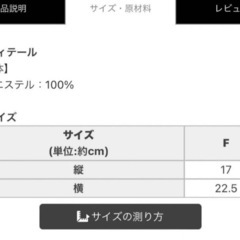 新品Rady マルチケースの画像