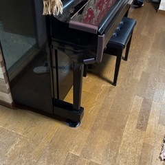 アポロ　ピアノ