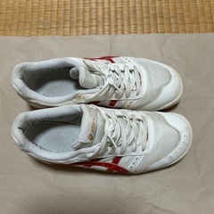 体育館シューズ