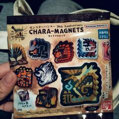 モンハンマグネット　マガイマガド