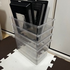 飼育ケース