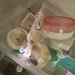 ハムスター用品いろいろの画像