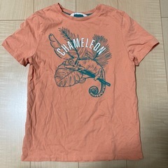 Tシャツ　CN140 H&M キッズ　こども