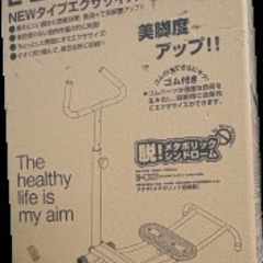 レッグトレーニング