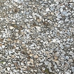 バラス、砂利を無料でくれる方いませんか？