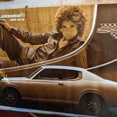 当時物 店頭用 日産 ブルーバード U ポスター/旧車の画像