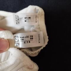 ワコール ダブルベーシック ブラショーツセット②の画像
