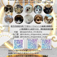 保護犬、保護猫 ✨譲渡会開催✨(枚方しっぽの会)