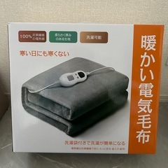 本数限定！希少！パナソニック ナショナル マッサージチェア REAL PRO GⅡ EP3500/EP3210等 修理補修等 修理用 信頼の…  (たかやん) 安芸の家電の中古あげます・譲ります｜ジモティーで不用品の処分