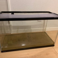 水槽やアクアリウム用品