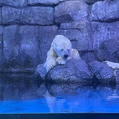 40代からの友達づくり
