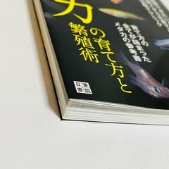 めだかの本の画像