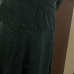 破格‼️ふざけた発表会・催し物などにいかがでしょうか？(男性が着てます)の画像