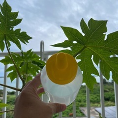 ハチミツの空き容器の画像