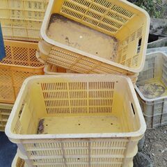 カゴ　一個の値段の画像