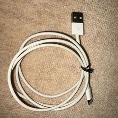[格安,綺麗]✨白色 ＵＳＢとＡタイプの接続コード　１