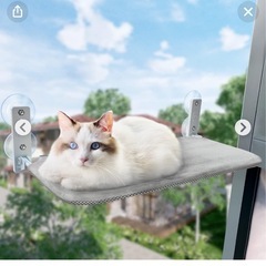 決まりました！猫用ベッド&ハンモック&トンネルの画像